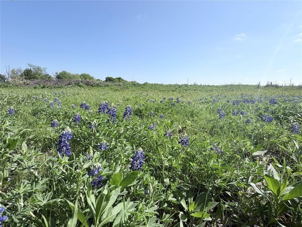 10 acres in Hill County gallery image 2