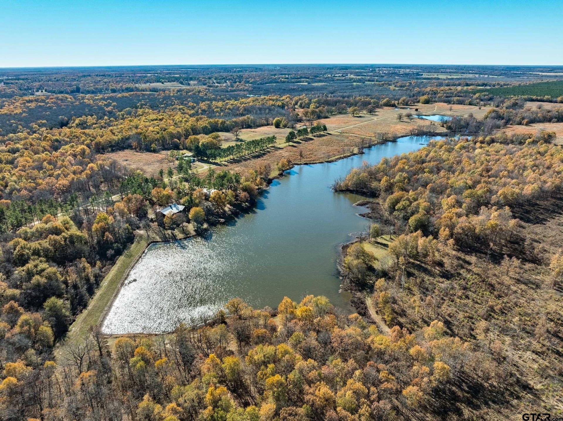 745.77 acres in Red River County gallery image 3