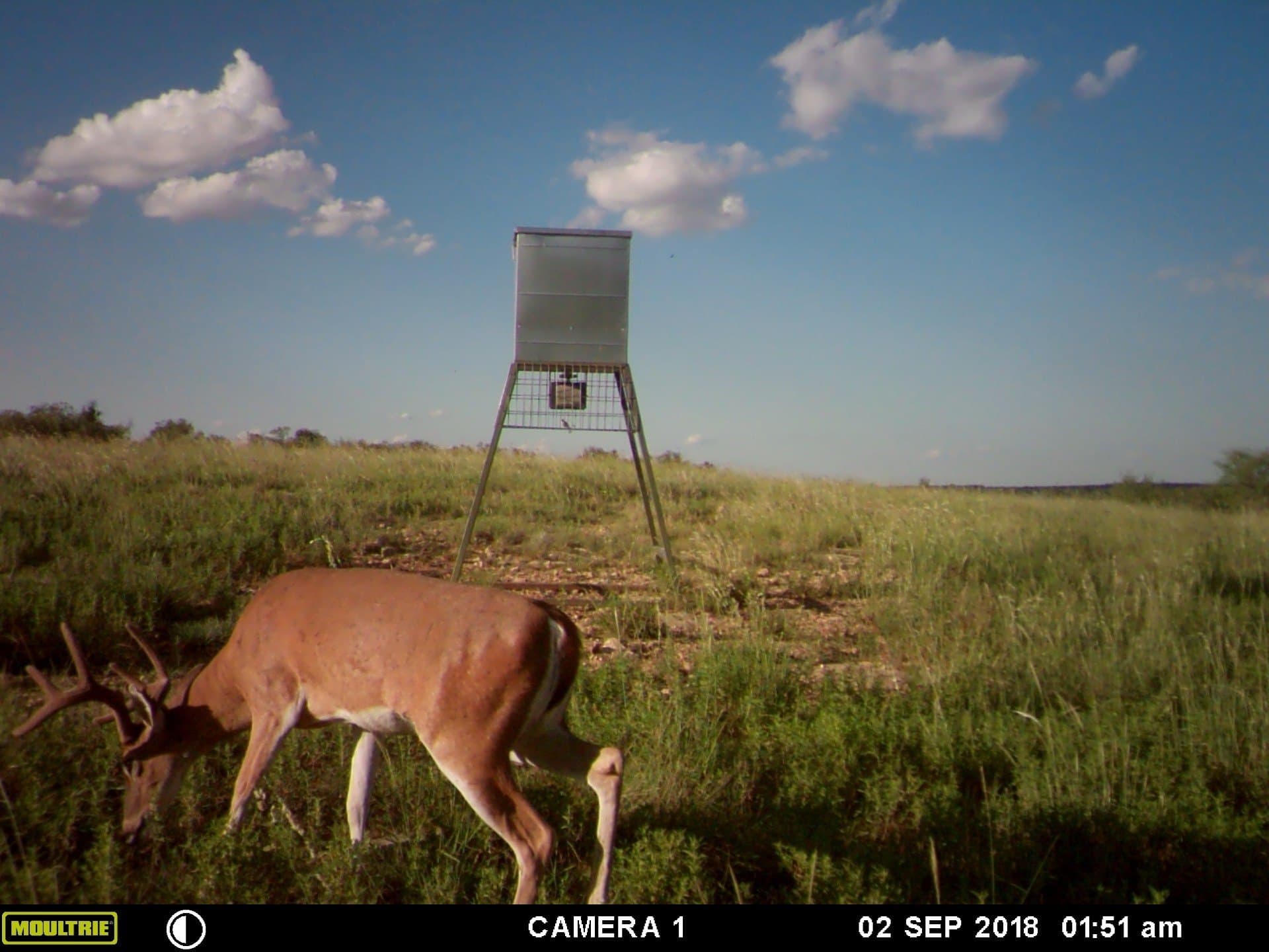 392 acres in Coleman County - photo 37