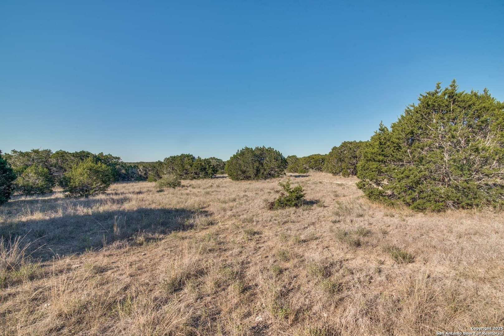 1.55 acres in Comal County - photo 8