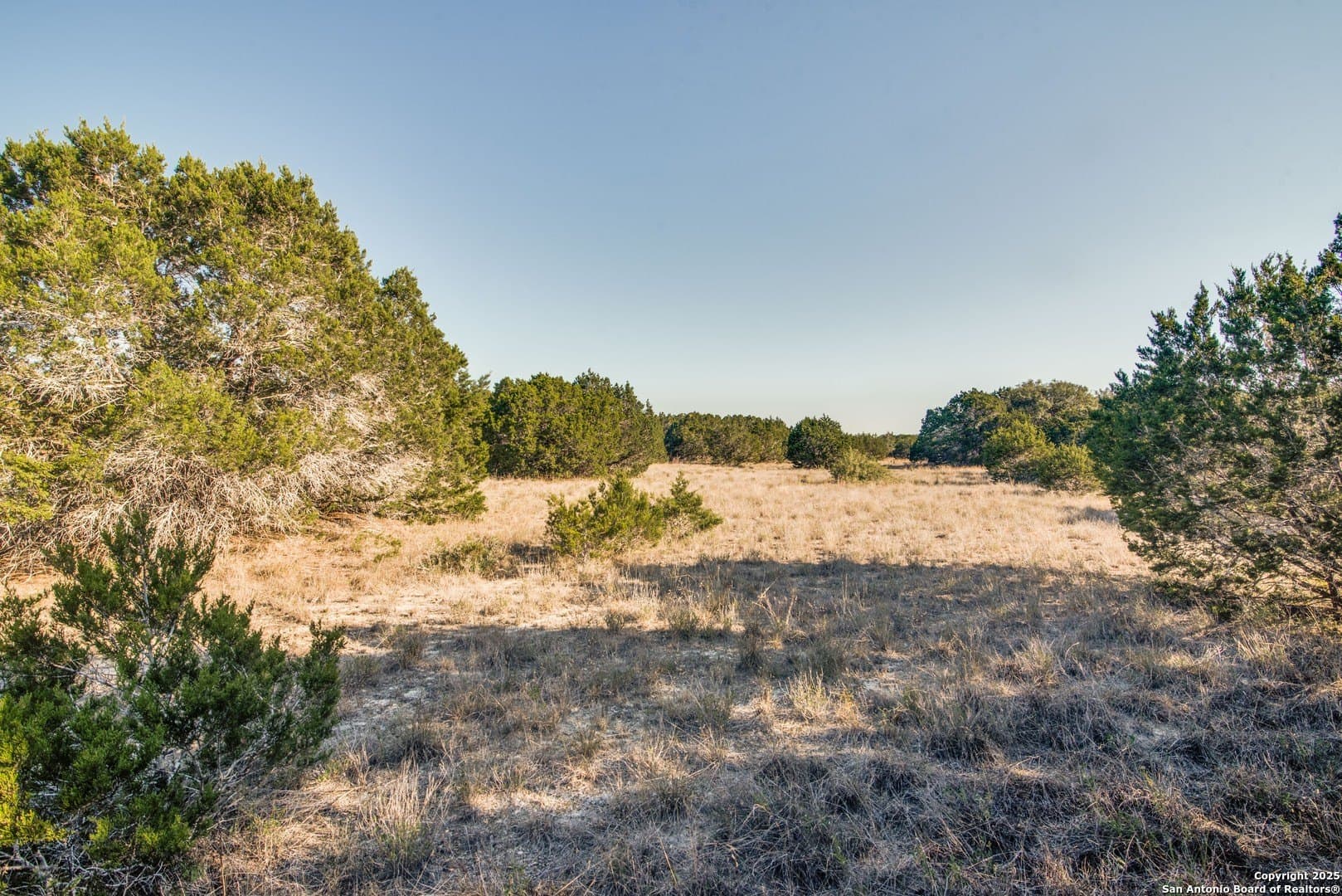 1.55 acres in Comal County - photo 7