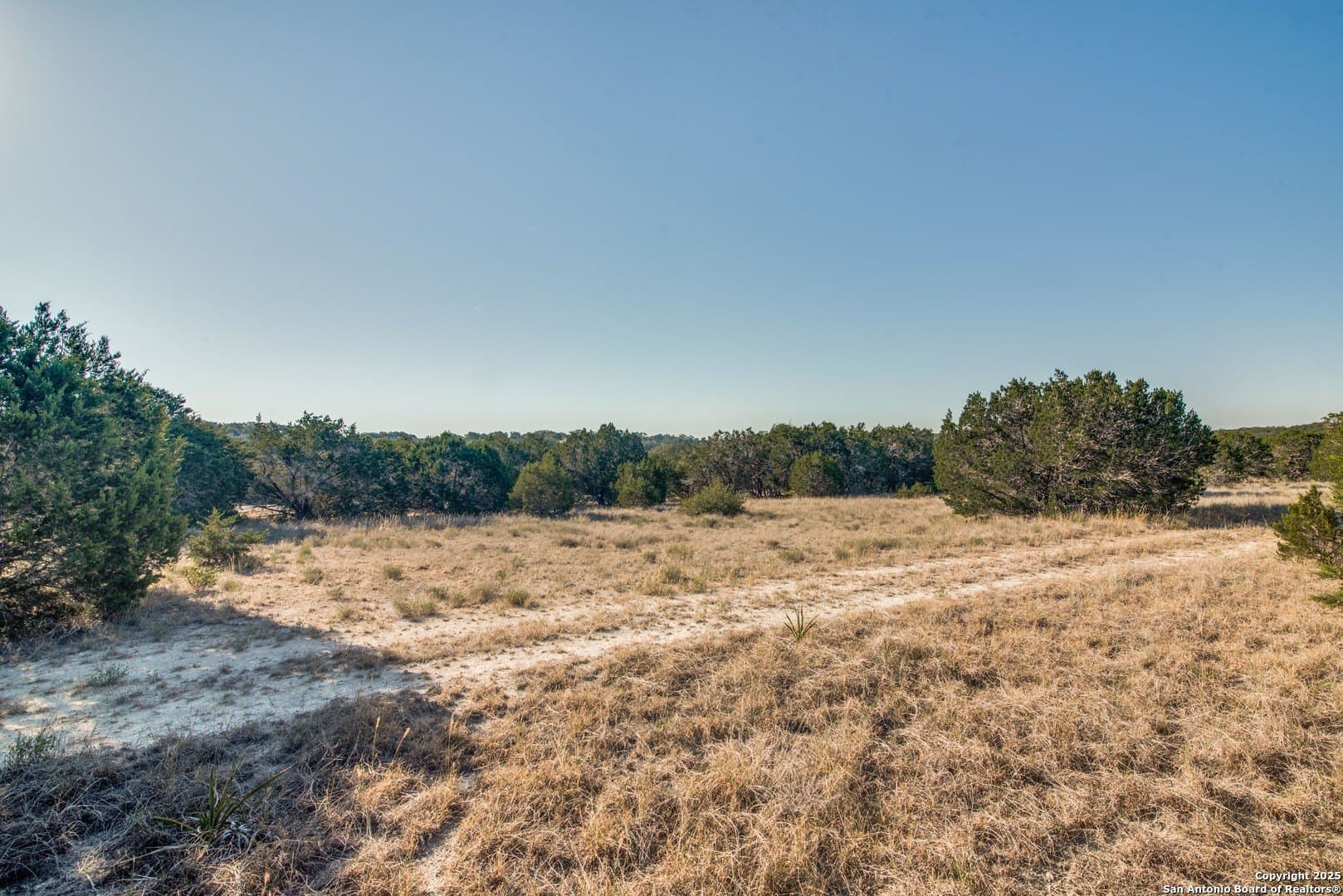 1.55 acres in Comal County - photo 9