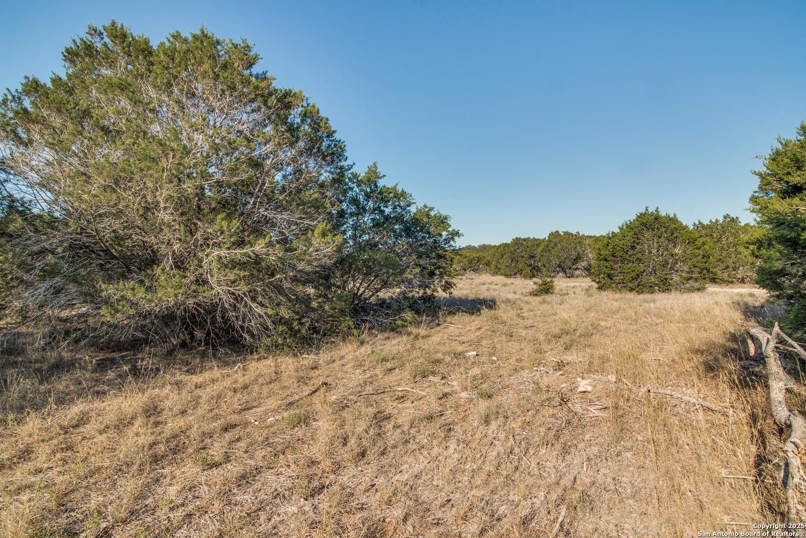 1.55 acres in Comal County - photo 11