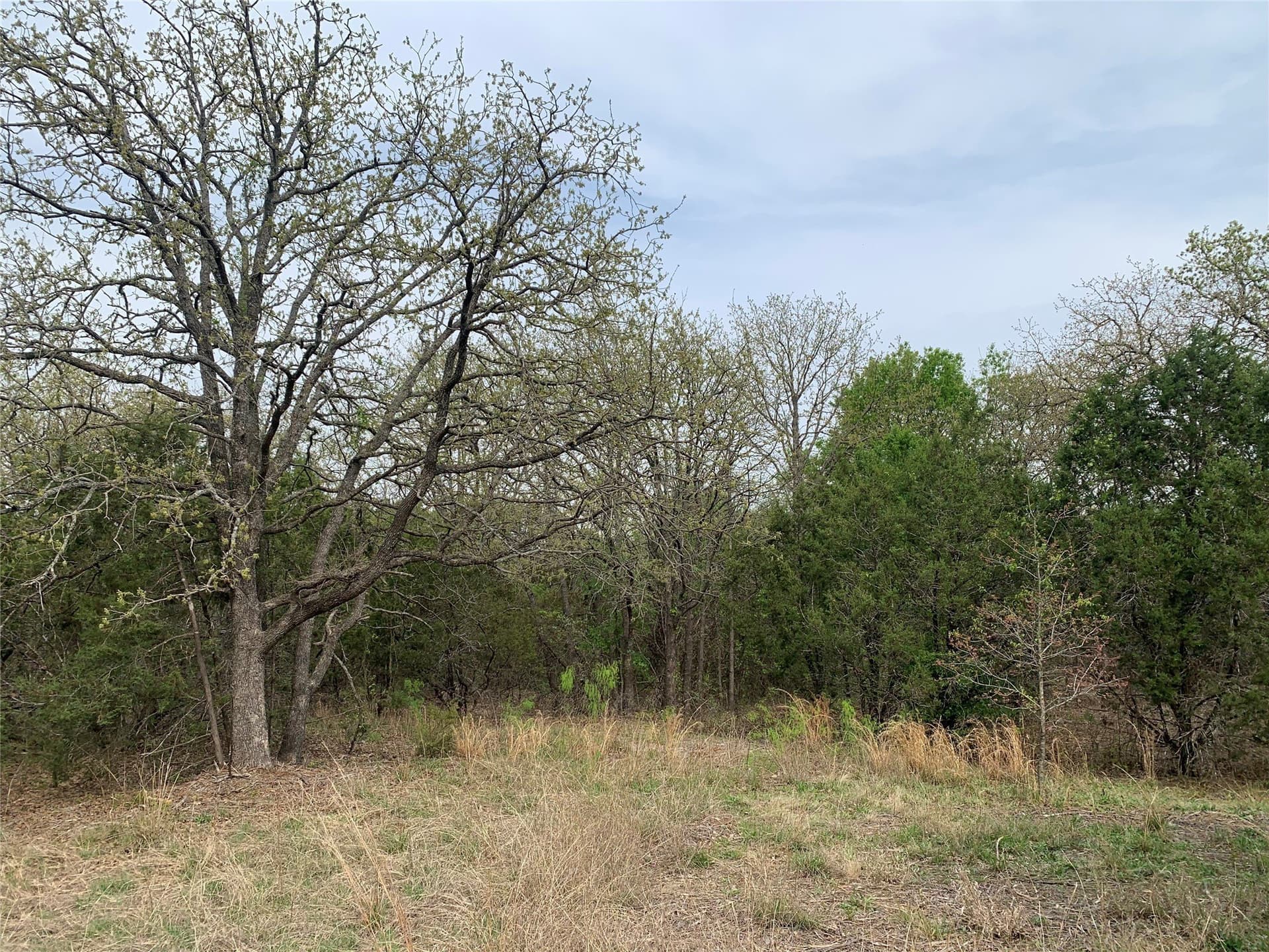 2.02 acres in Somervell County - photo 18