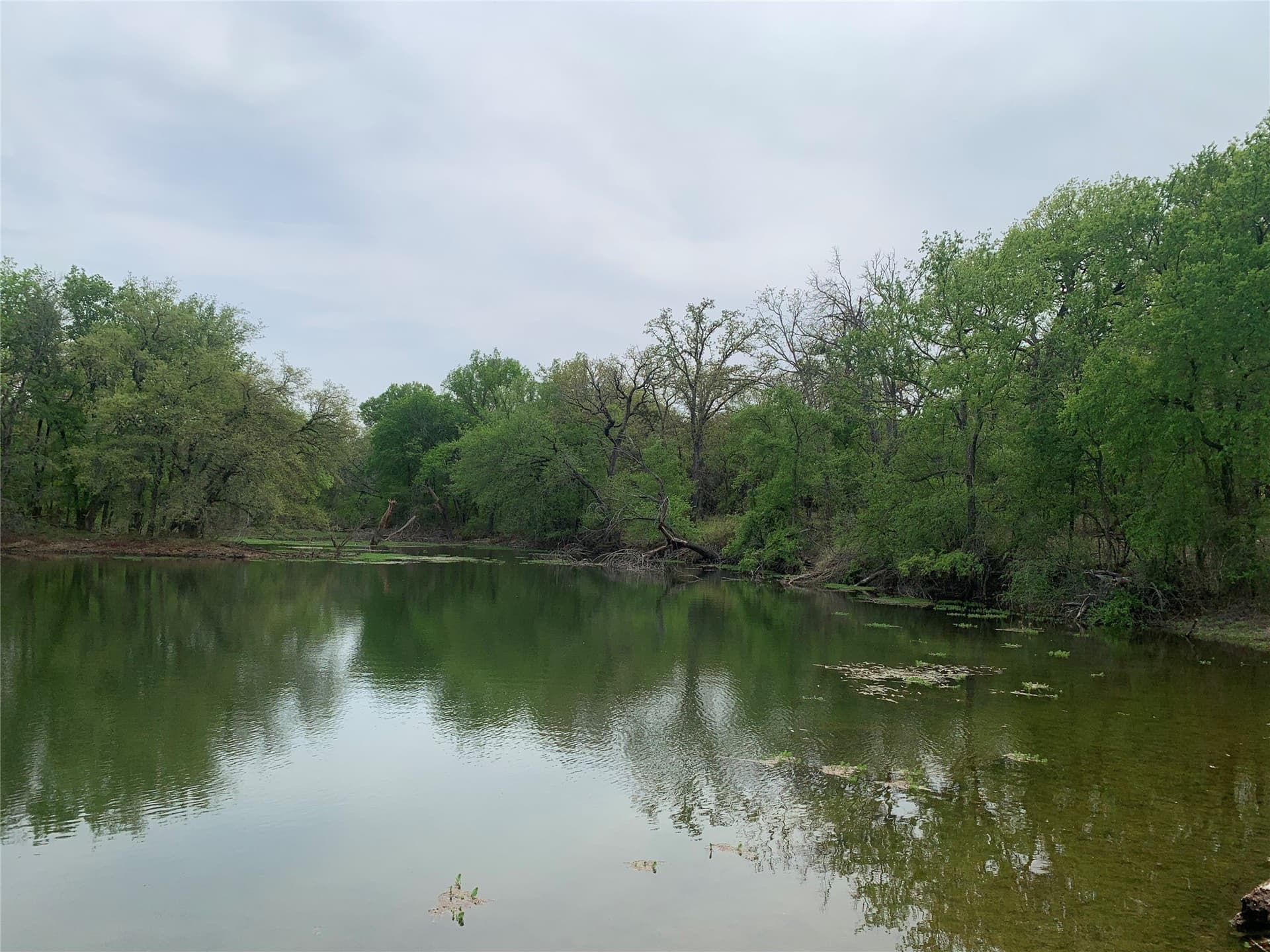 2.02 acres in Somervell County - photo 20