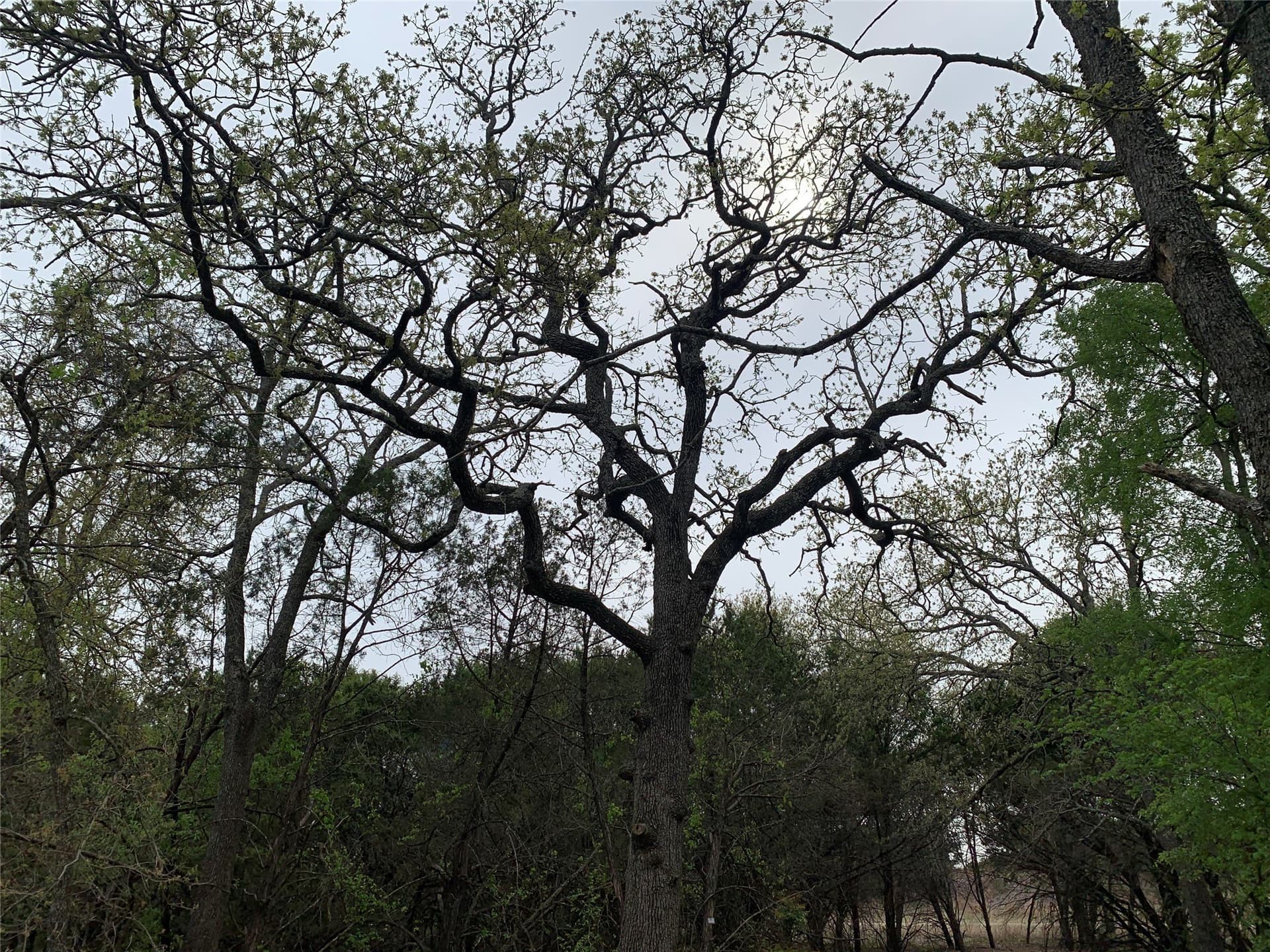 2.02 acres in Somervell County - photo 26
