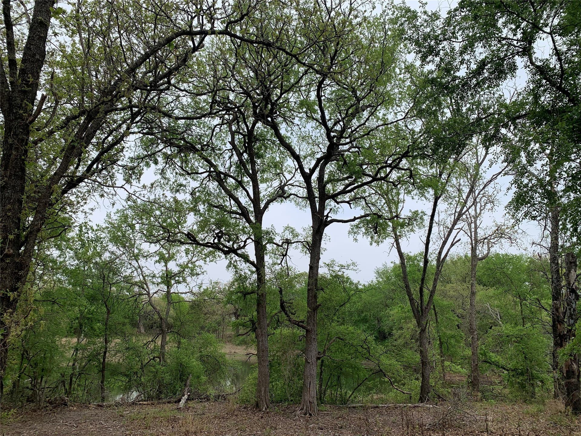 2.02 acres in Somervell County - photo 24