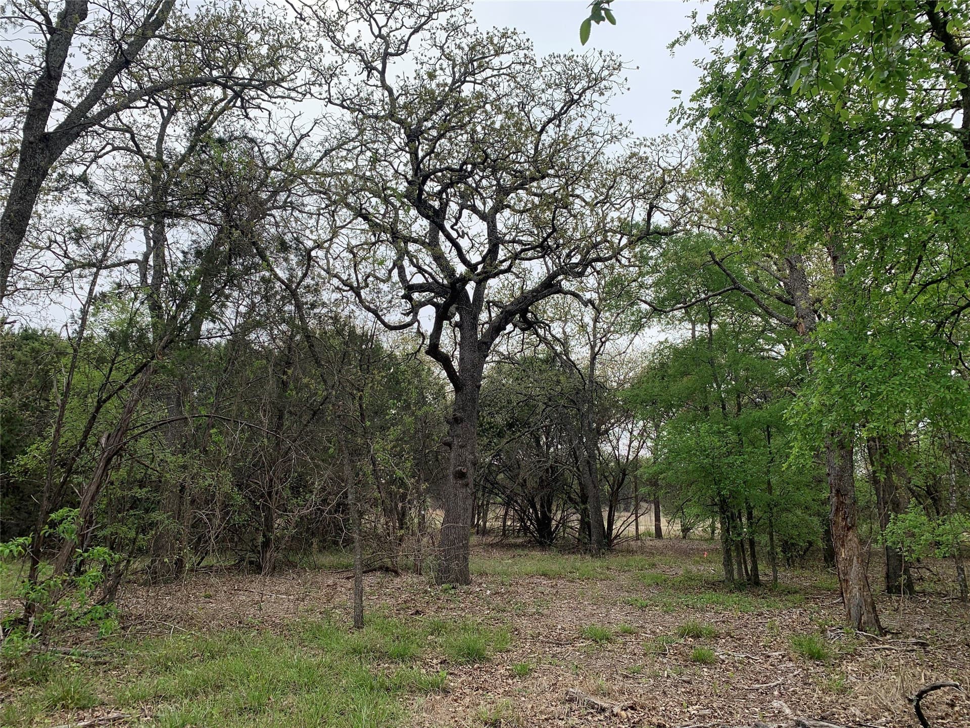 2.02 acres in Somervell County - photo 27