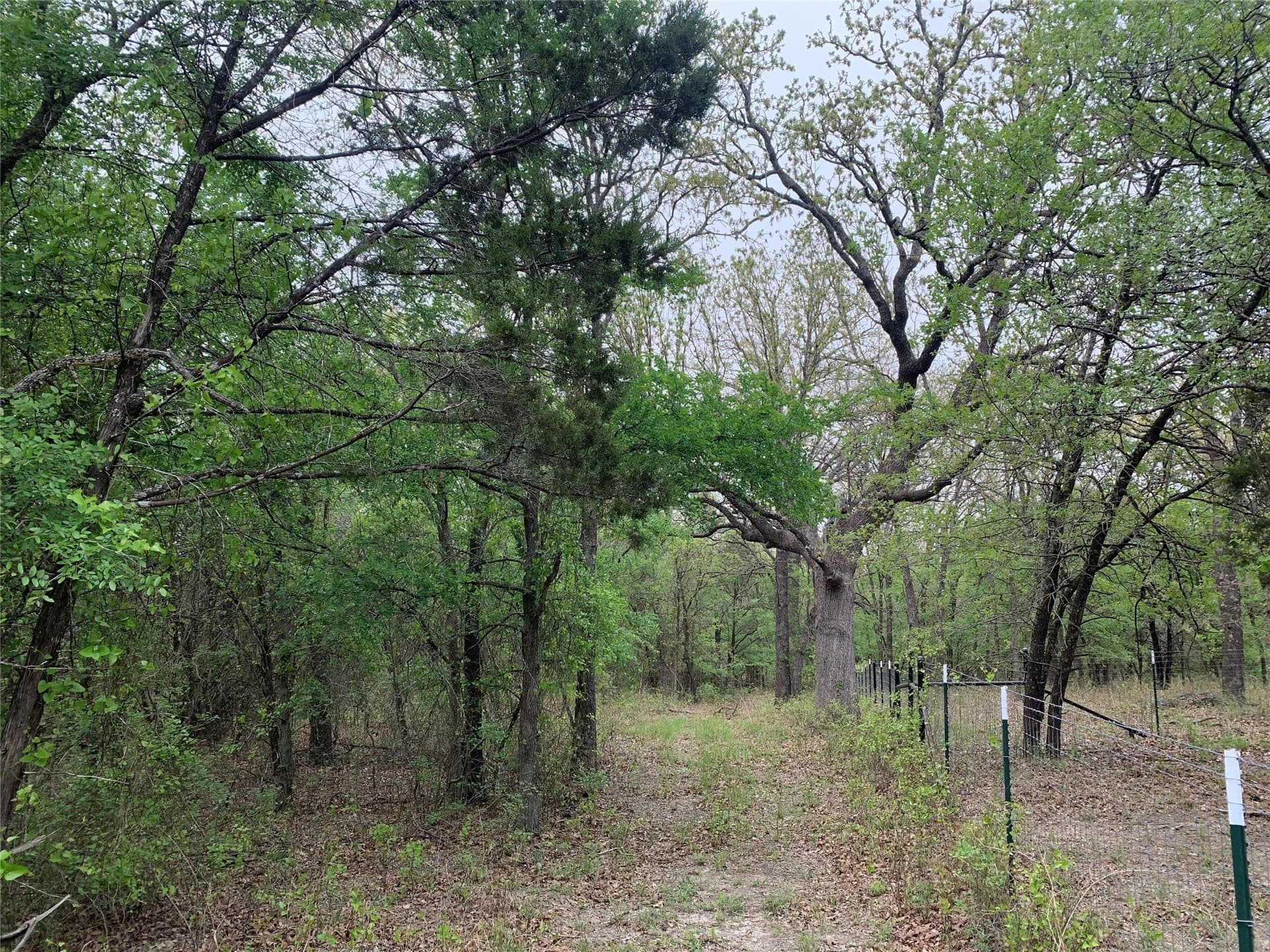 2.02 acres in Somervell County - photo 23
