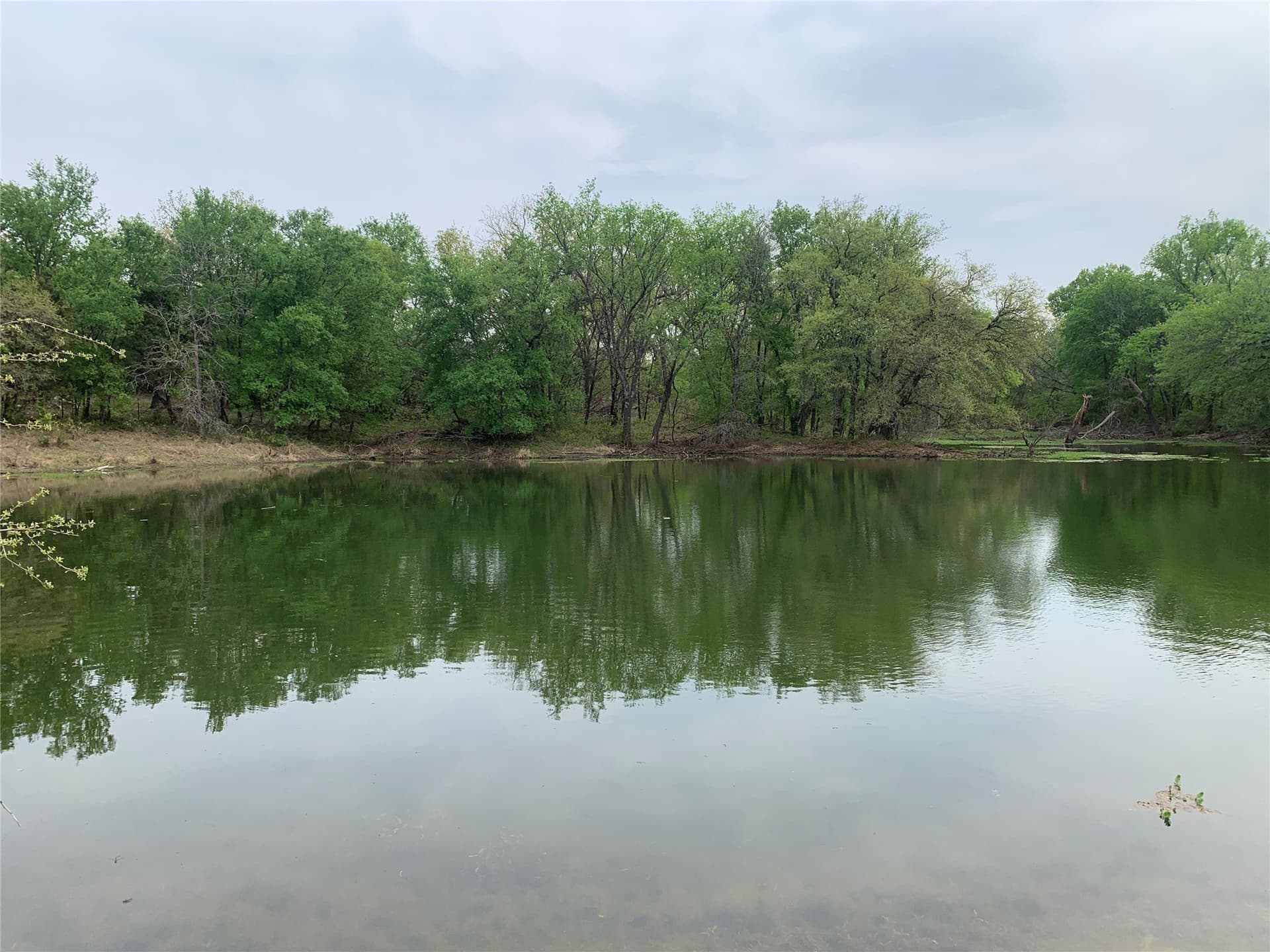 2.02 acres in Somervell County - photo 19