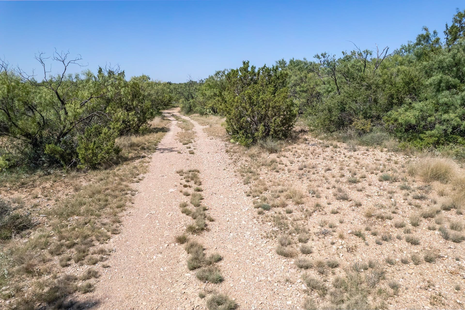 153.64 acres in McCulloch County - photo 40