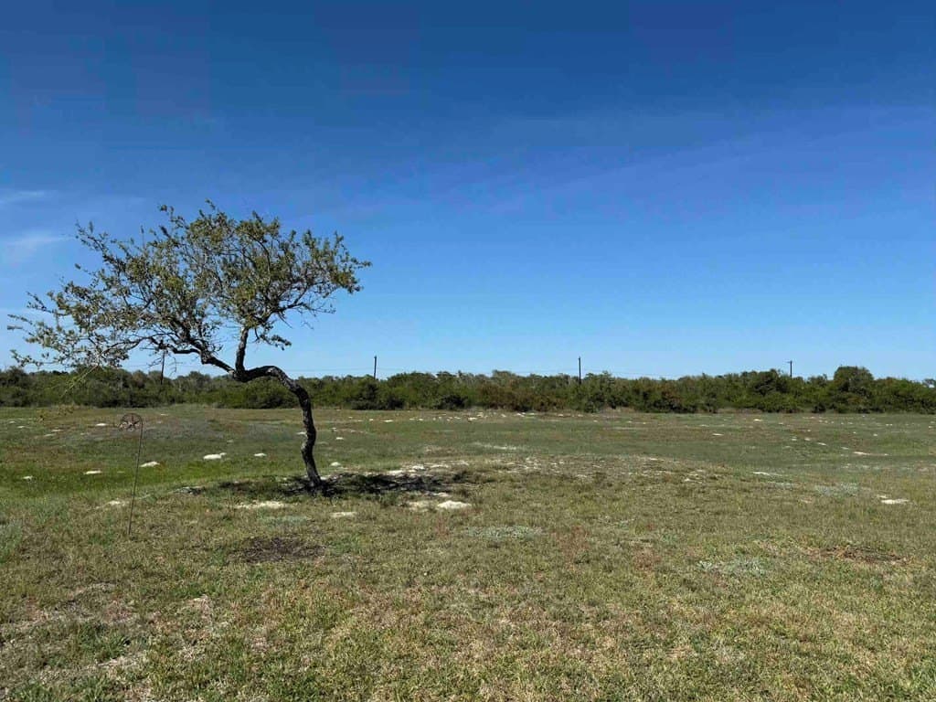 0.12 acres in Texas County - photo 6