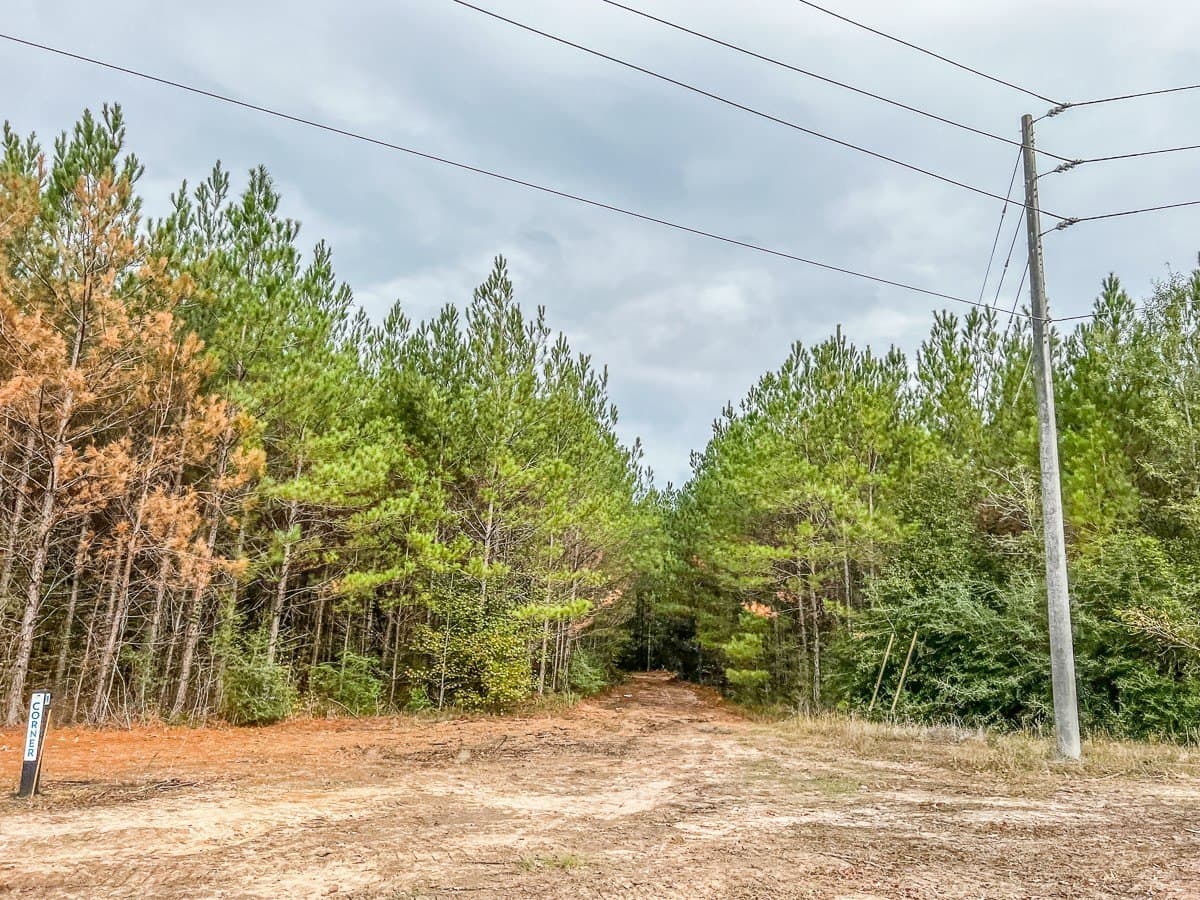 2.64 acres in Liberty County - photo 2