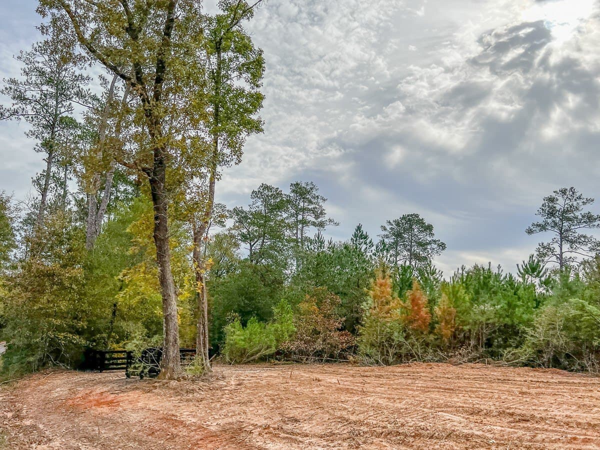 2.64 acres in Liberty County - photo 6