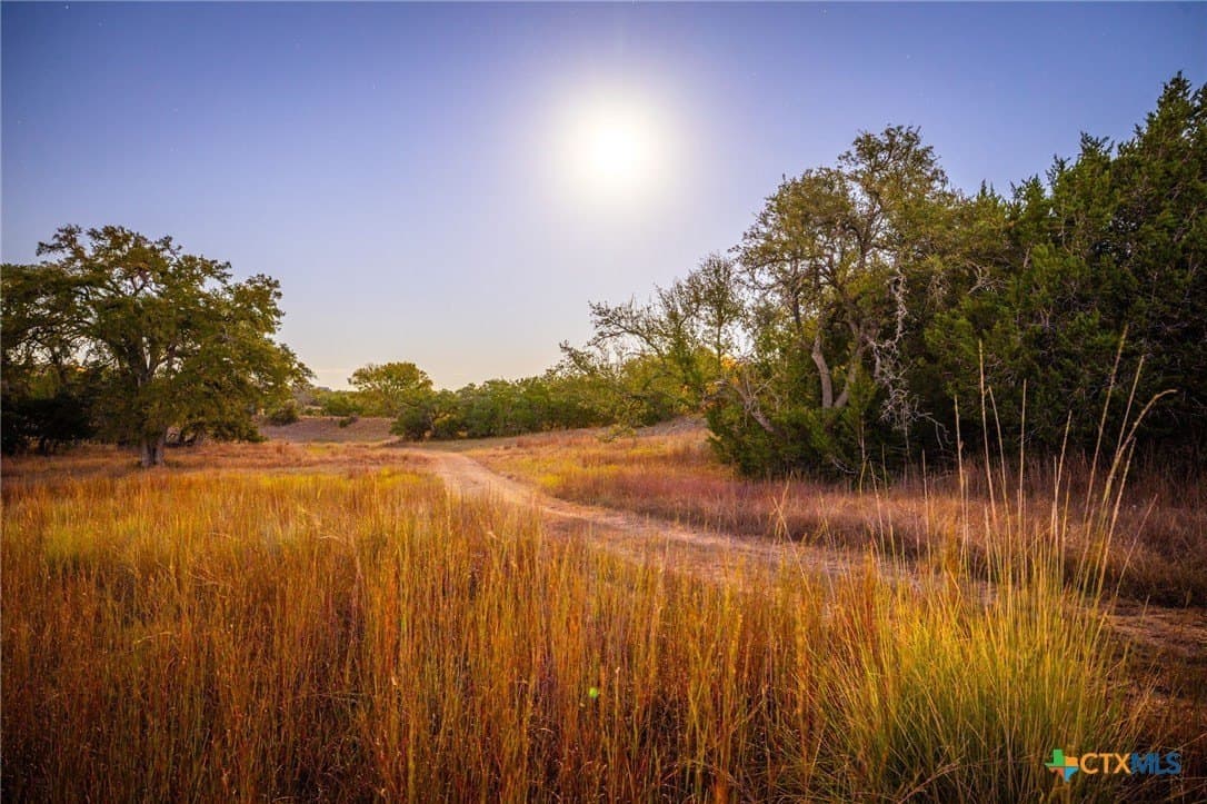 20.35 acres in Hays County gallery image 3