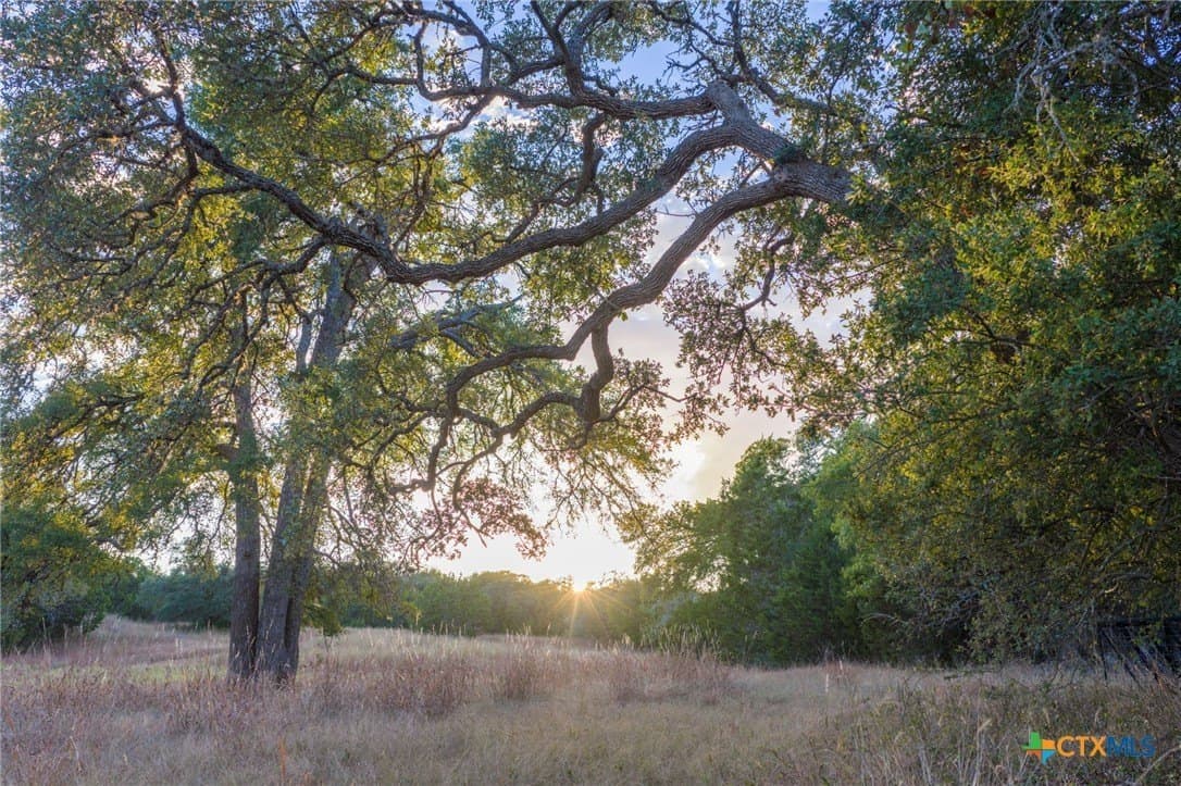20.35 acres in Hays County featured view