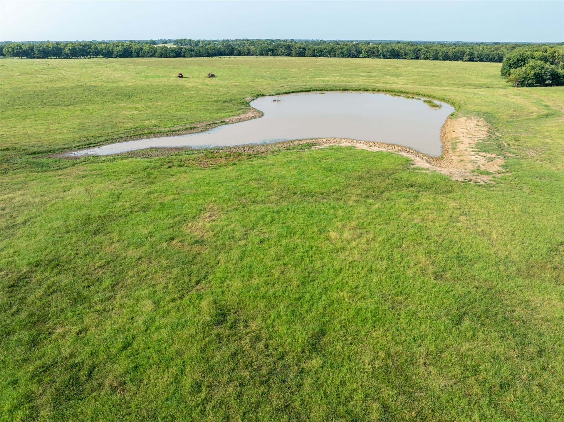 1,135 acres in Lamar County - photo 20