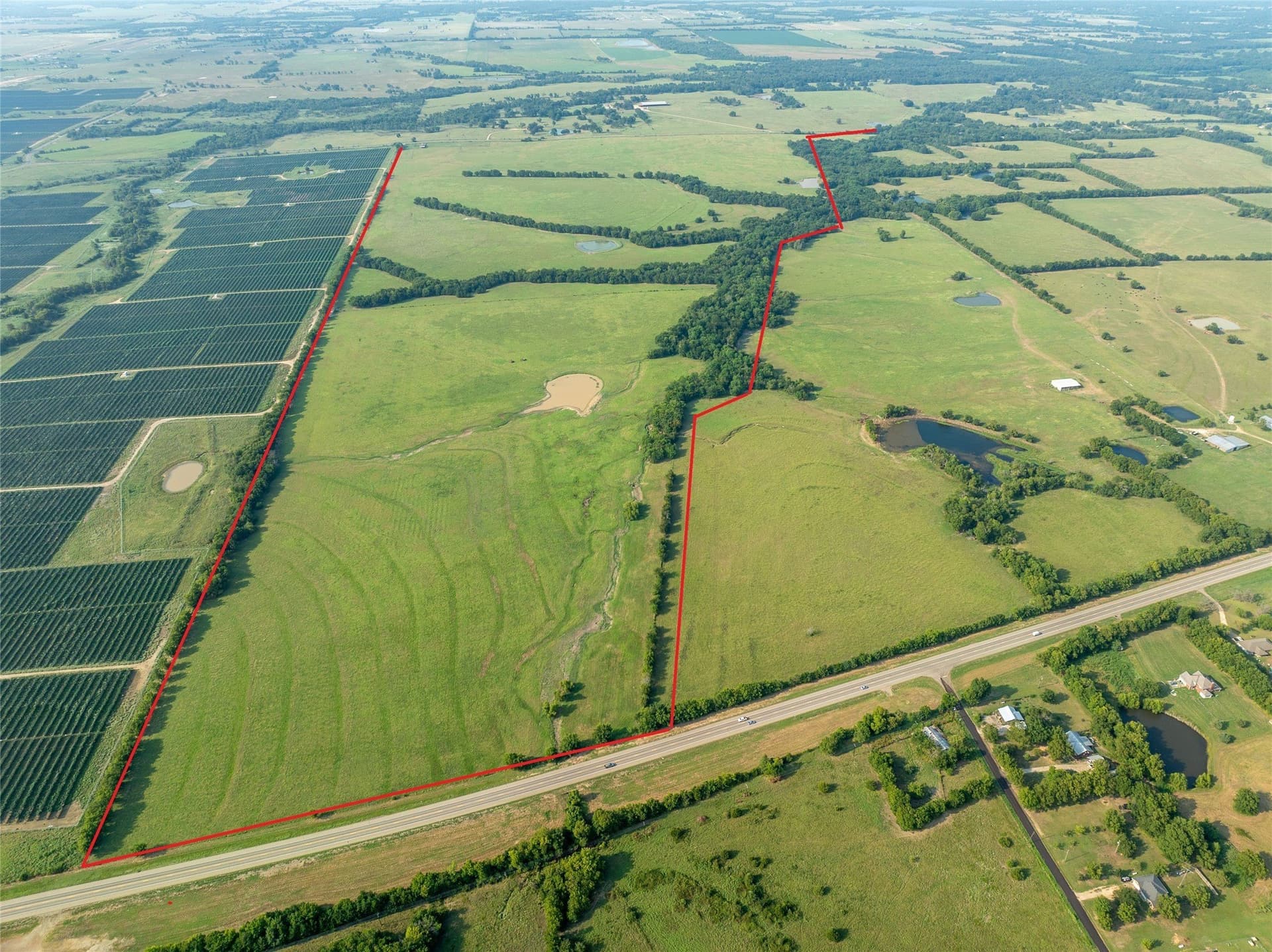 1,135 acres in Lamar County - photo 19
