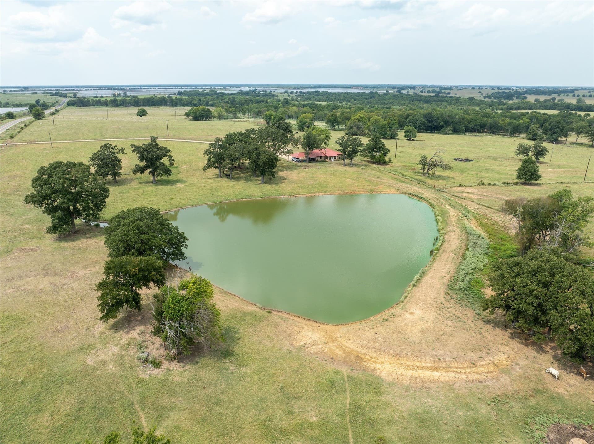 1,135 acres in Lamar County - photo 17
