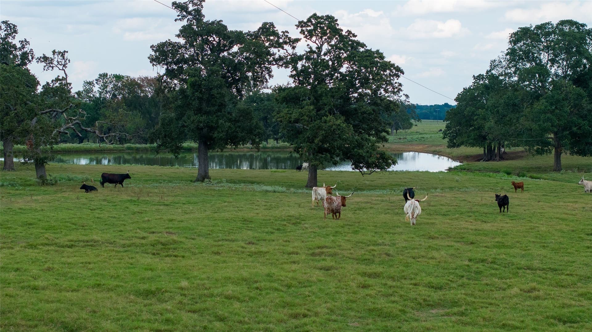 1,135 acres in Lamar County - photo 26