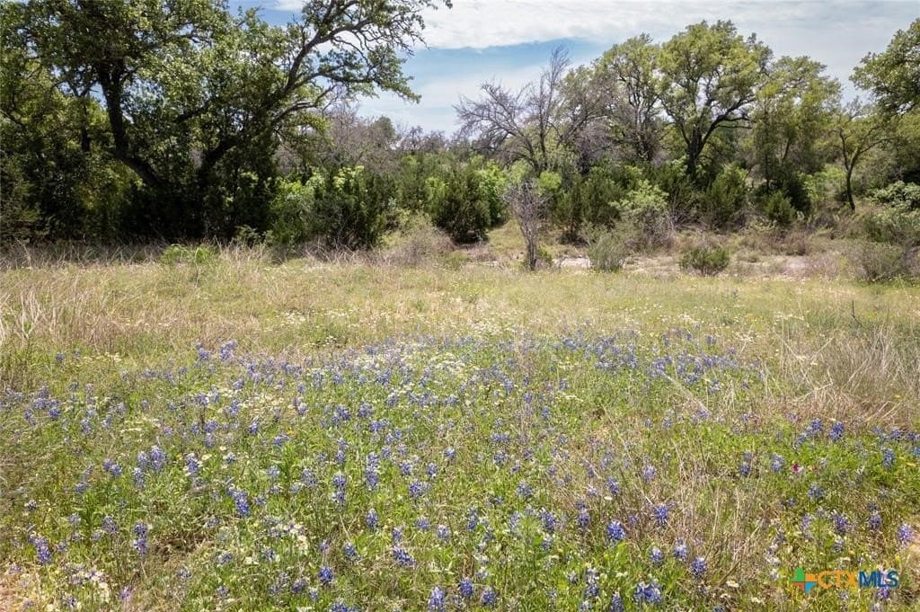 25.01 acres in Burnet County - photo 6