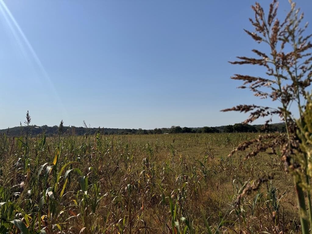 9.4 acres in Kerr County - photo 3