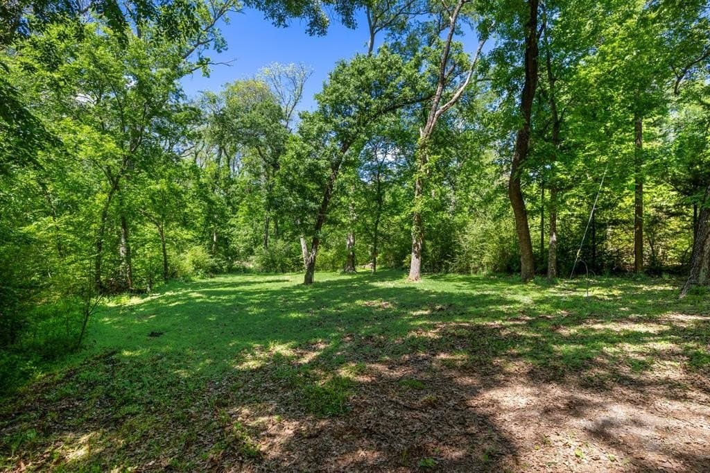 0.45 acres in Van Zandt County gallery image 2