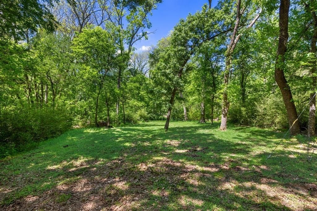 0.45 acres in Van Zandt County gallery image 4