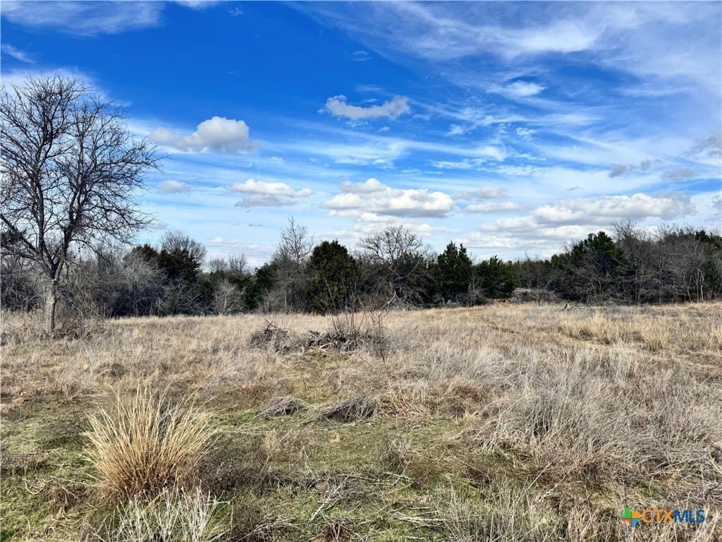 15.13 acres in Bell County - photo 23