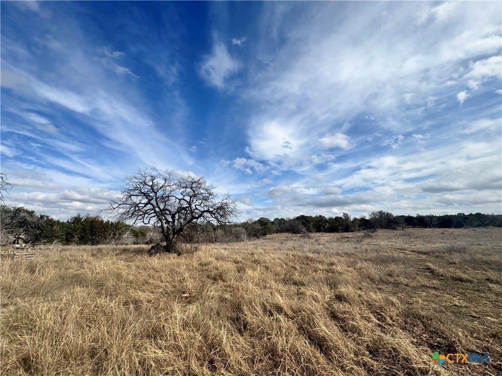 15.13 acres in Bell County - photo 25
