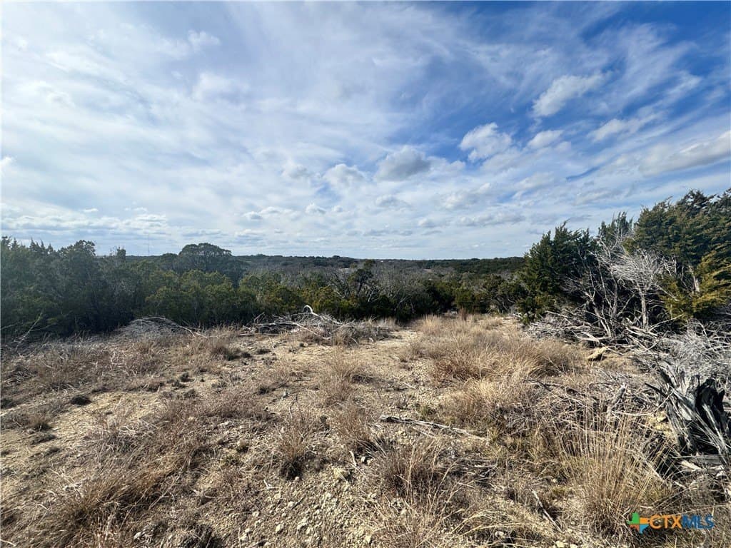 15.13 acres in Bell County - photo 27