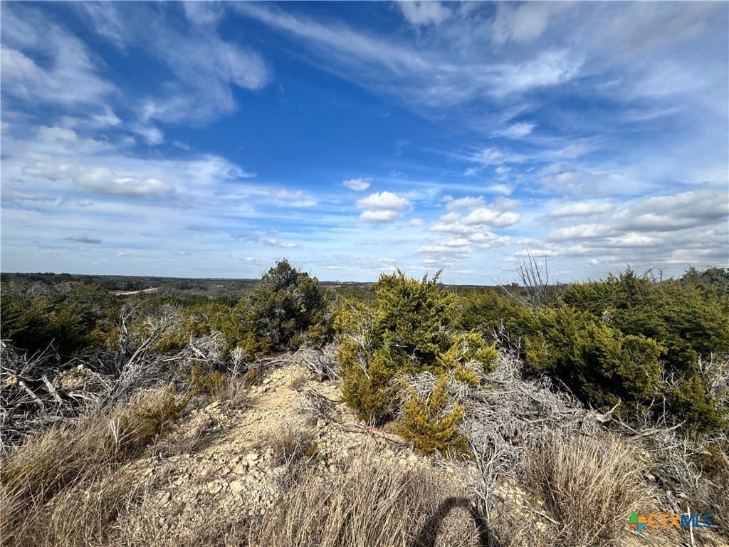 15.13 acres in Bell County - photo 26