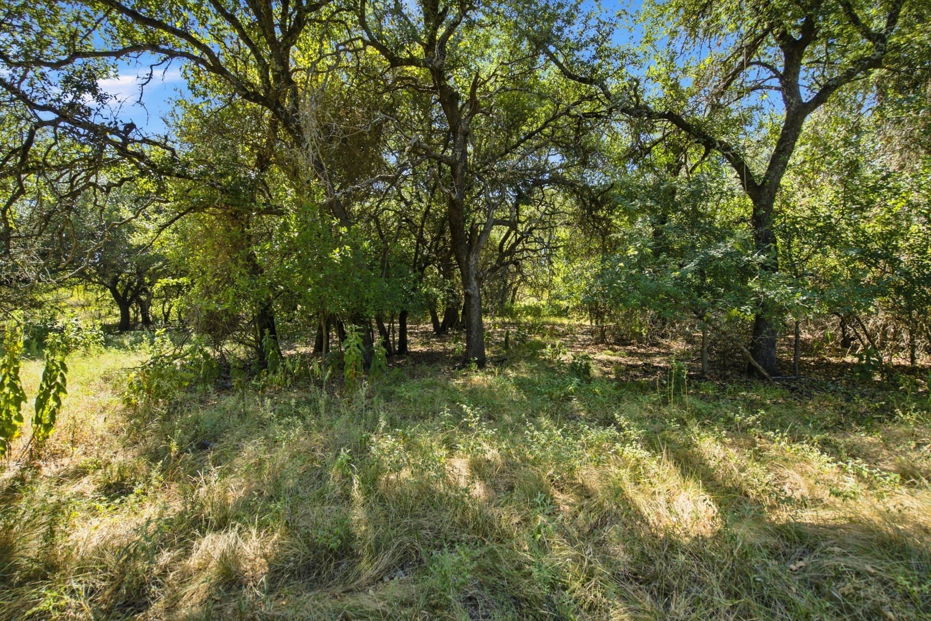 184.19 acres in Comanche County - photo 24