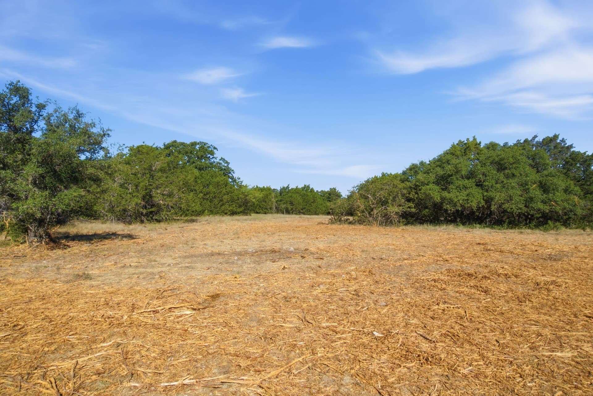 184.19 acres in Comanche County - photo 18