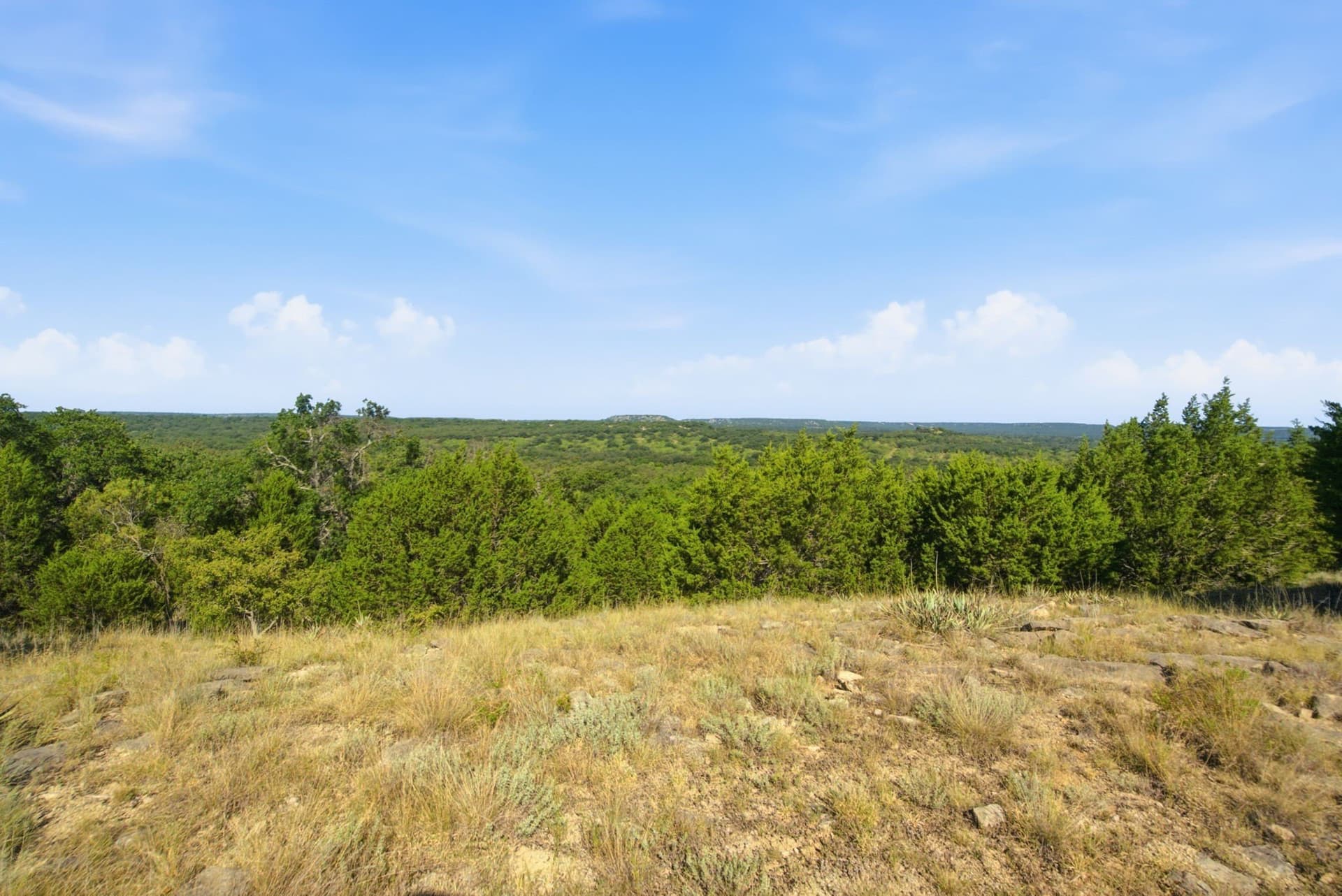 184.19 acres in Comanche County - photo 22