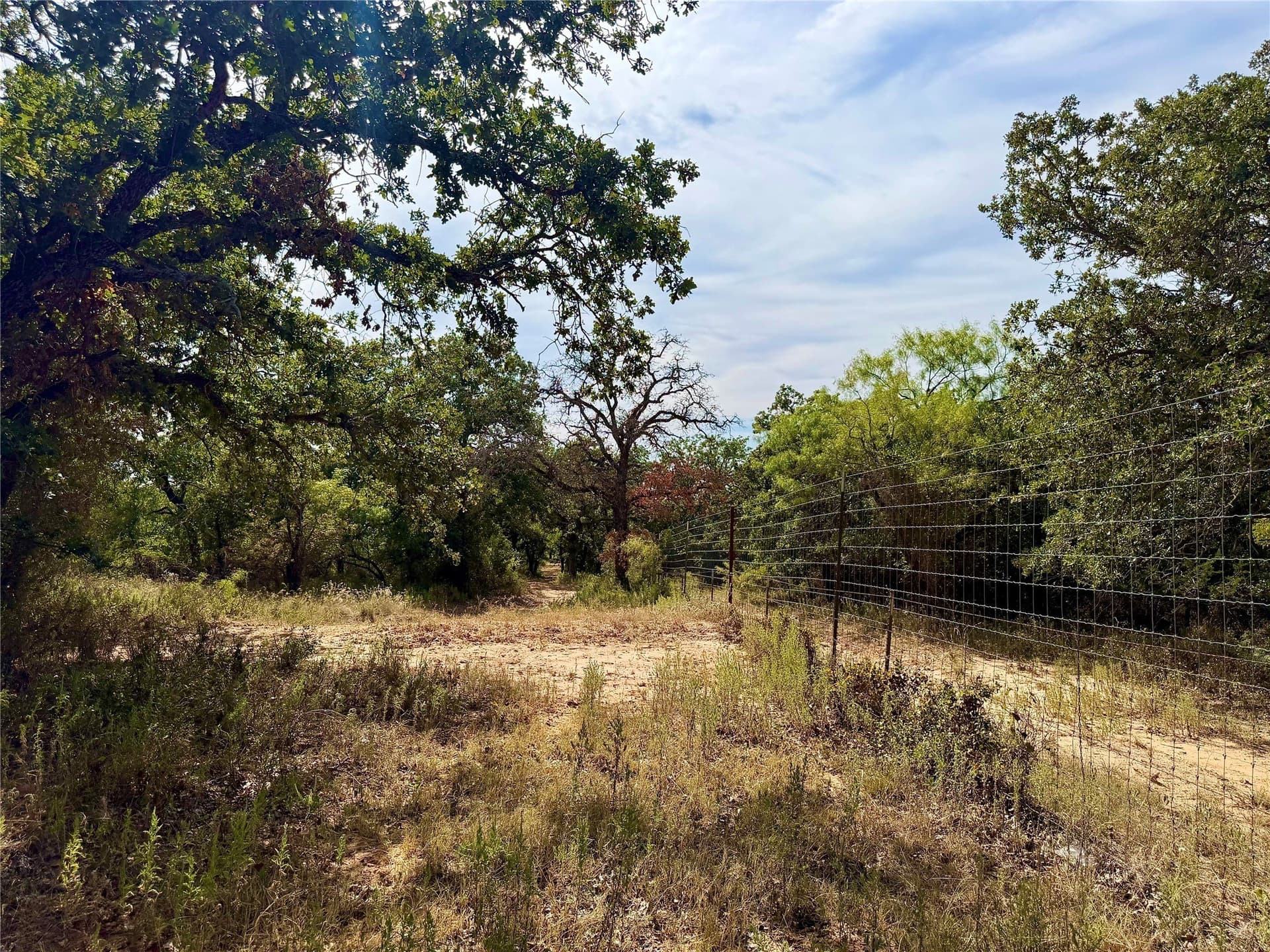 184.19 acres in Comanche County - photo 35