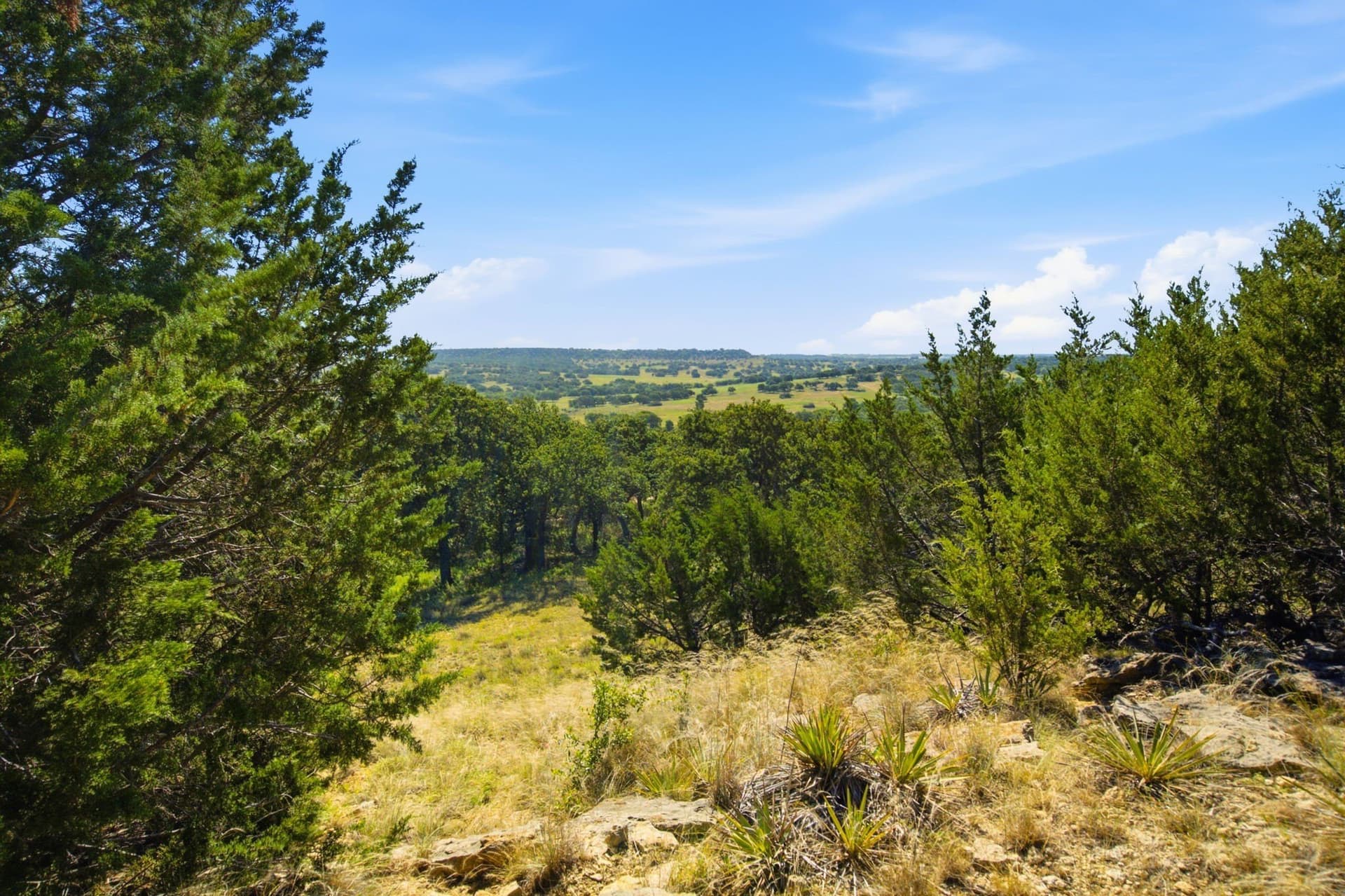 184.19 acres in Comanche County - photo 17