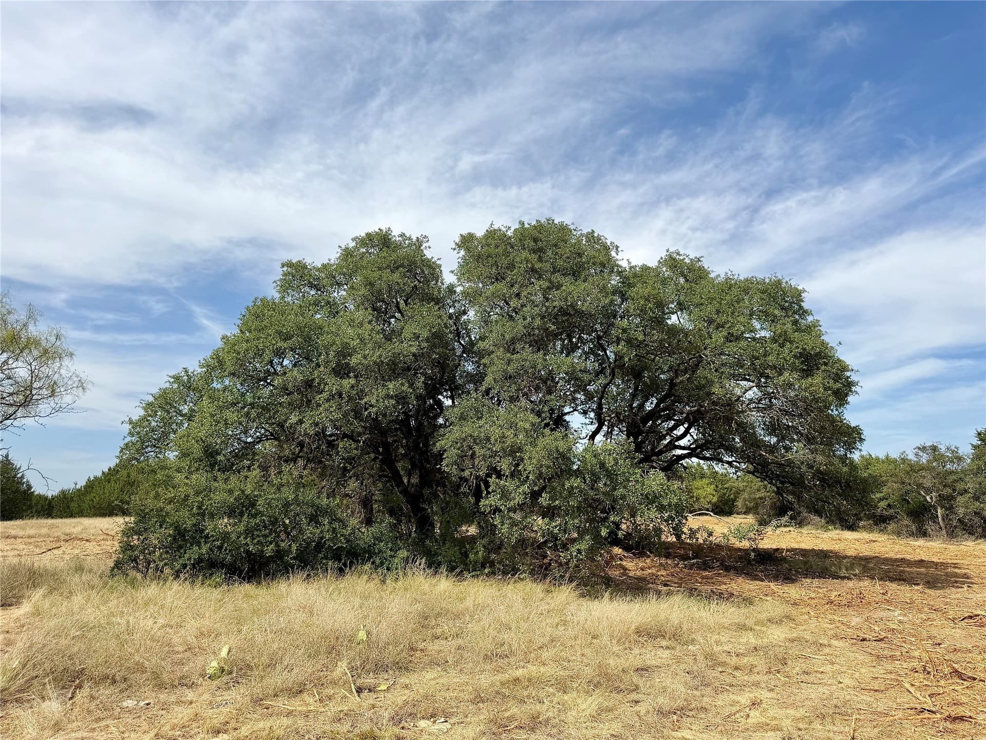 184.19 acres in Comanche County - photo 33