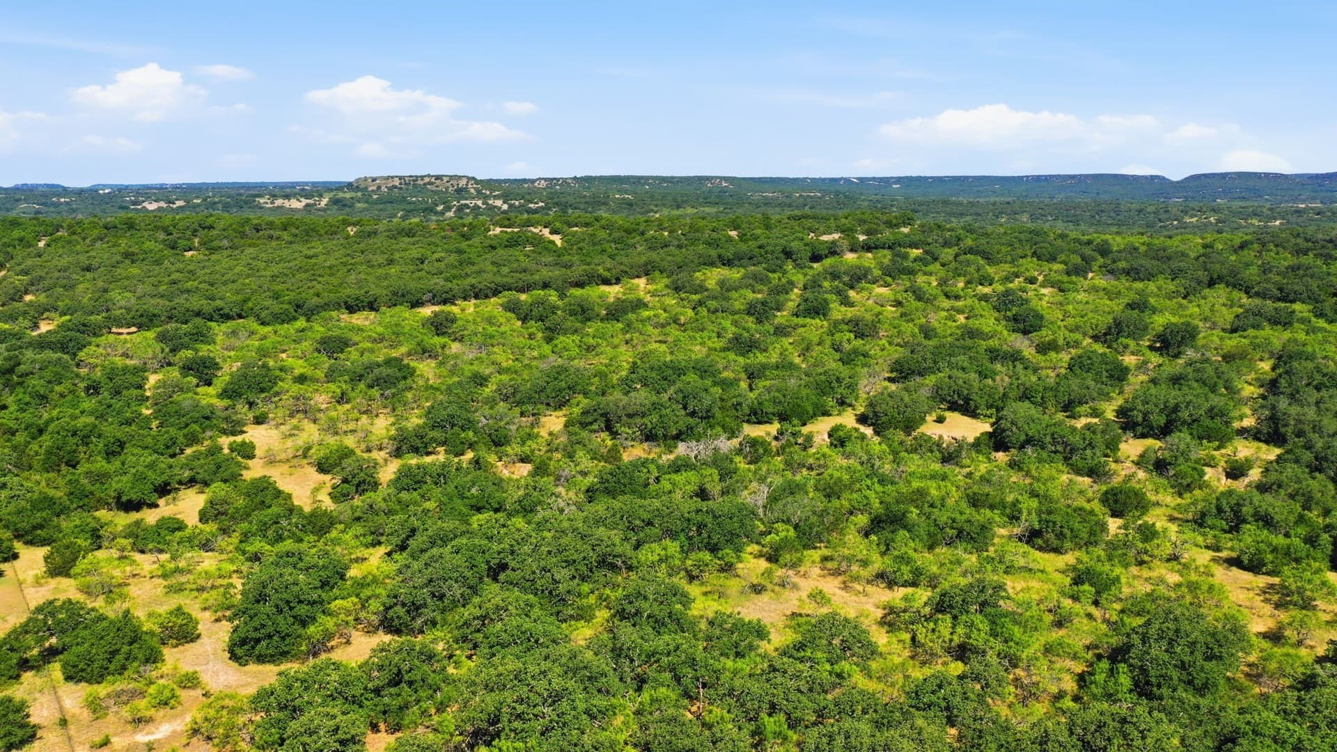 184.19 acres in Comanche County - photo 9