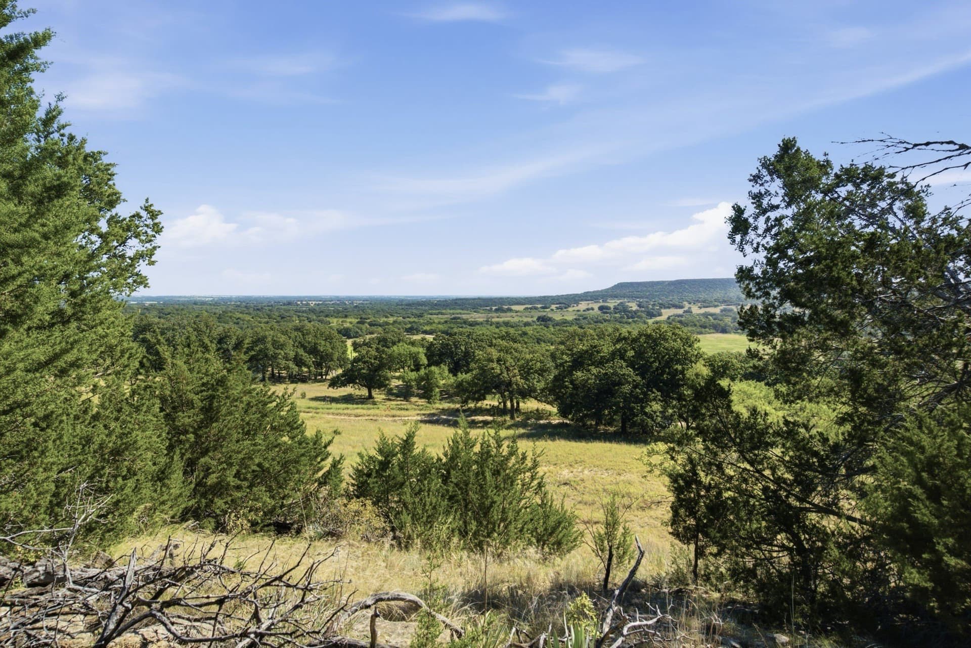 184.19 acres in Comanche County - photo 8