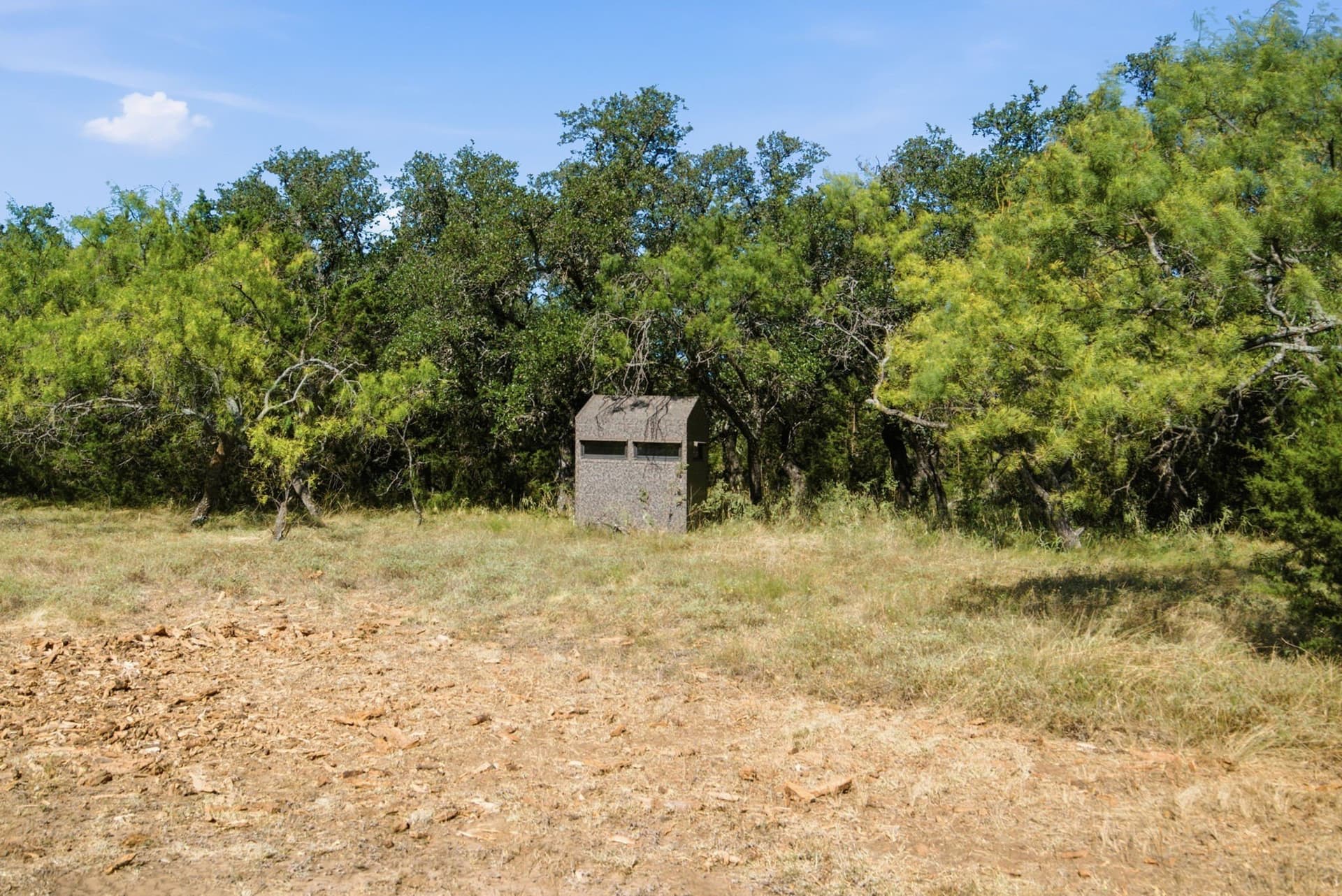 184.19 acres in Comanche County - photo 21