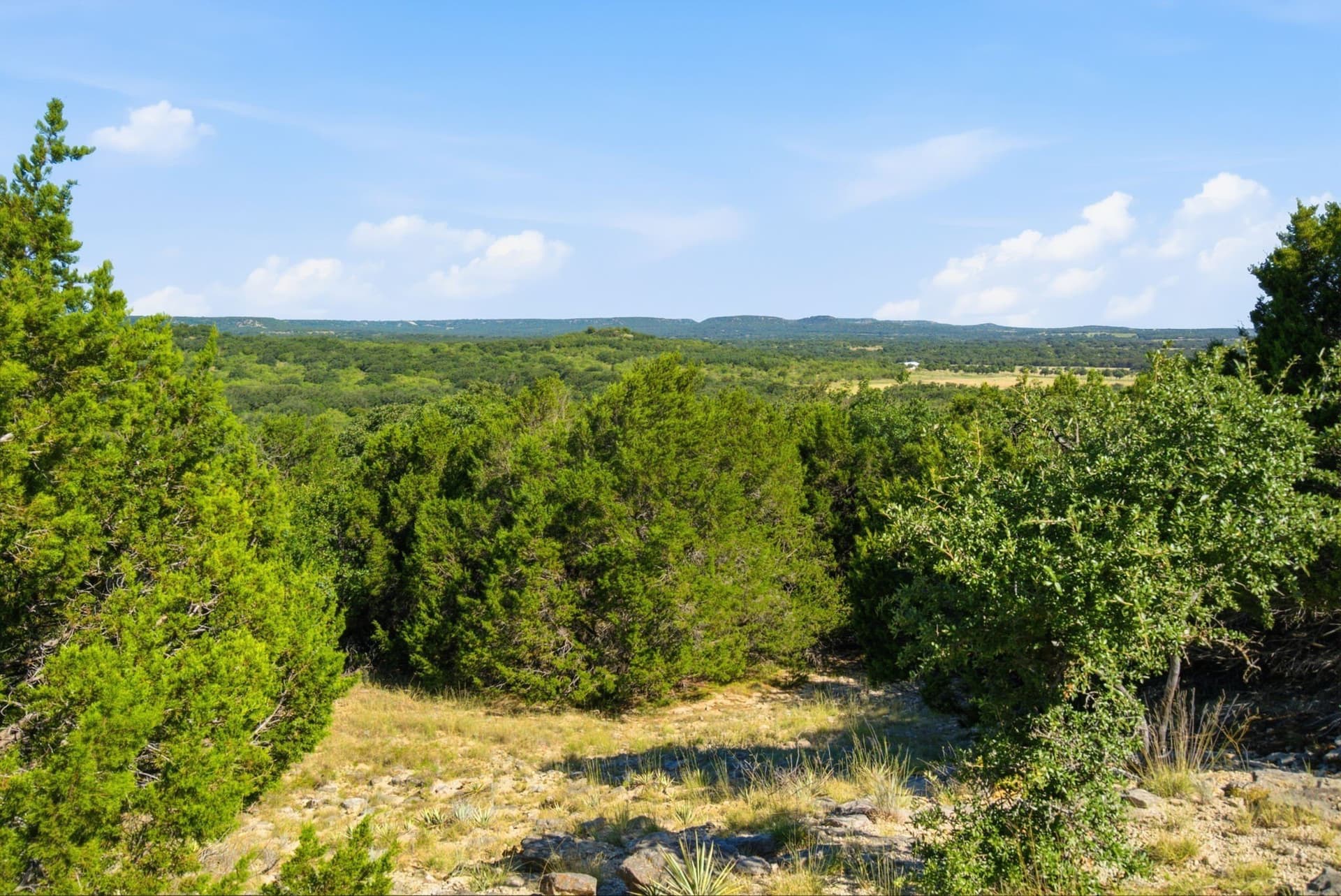 184.19 acres in Comanche County - photo 20
