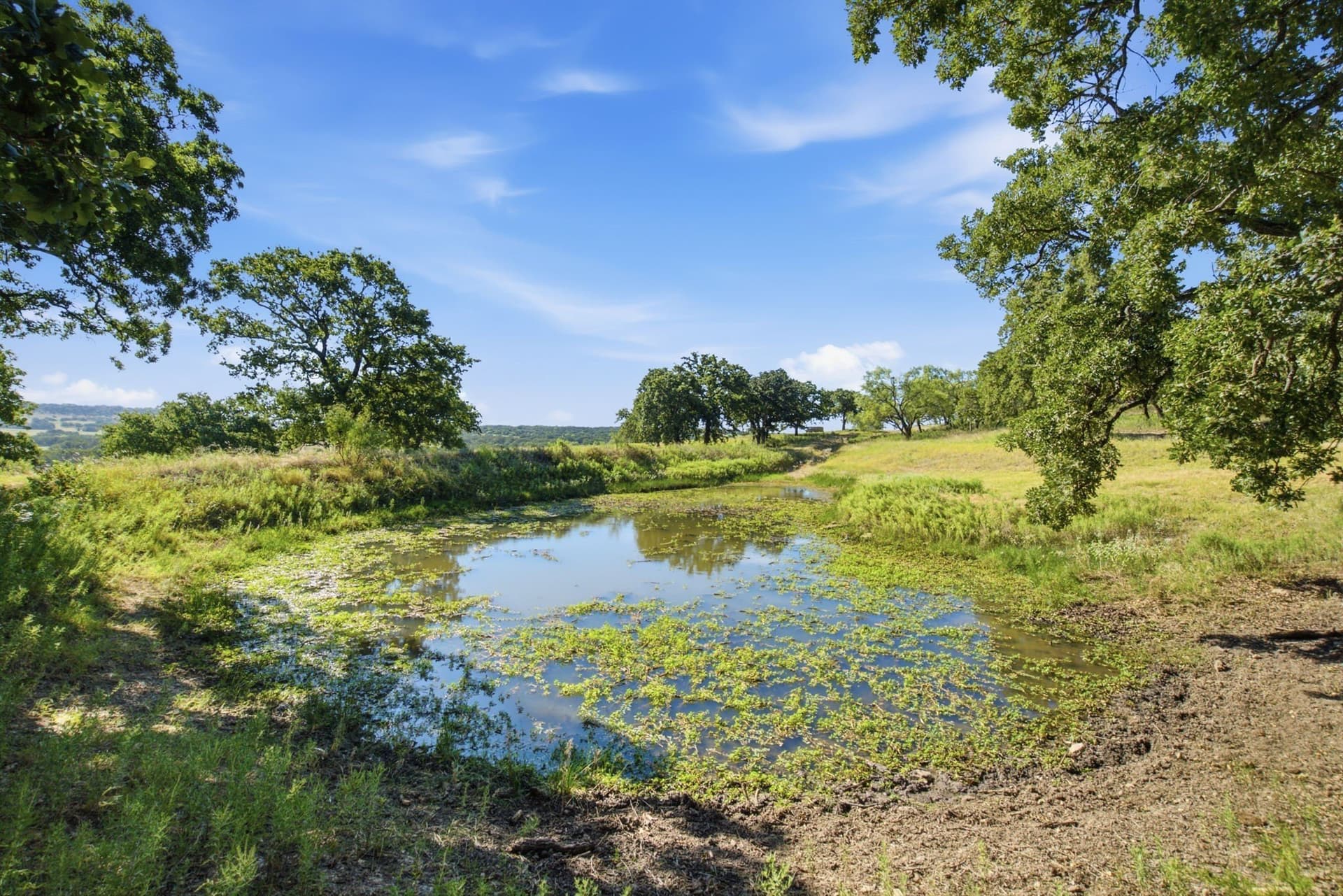 184.19 acres in Comanche County - photo 15