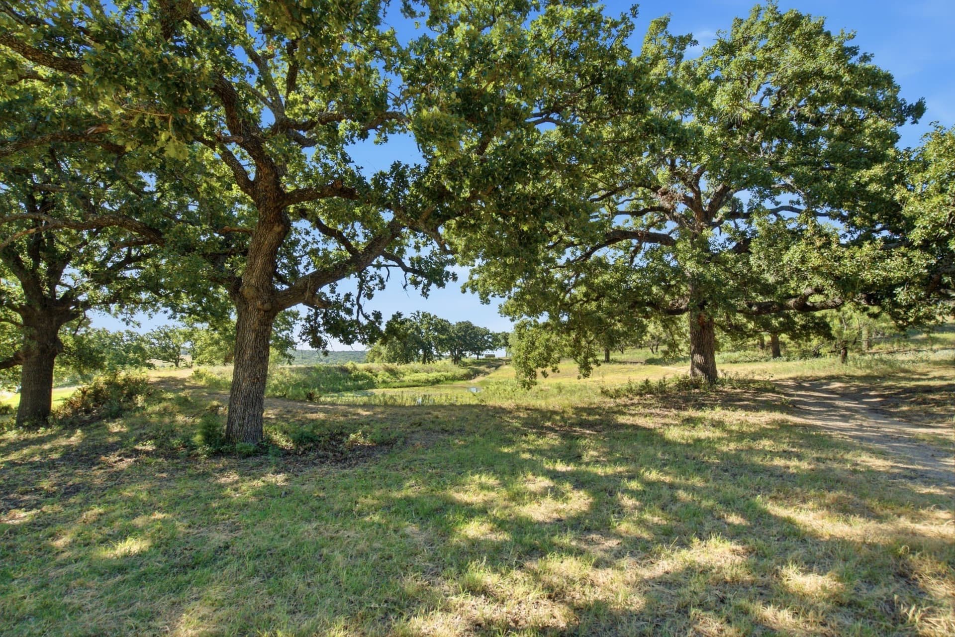 184.19 acres in Comanche County - photo 14