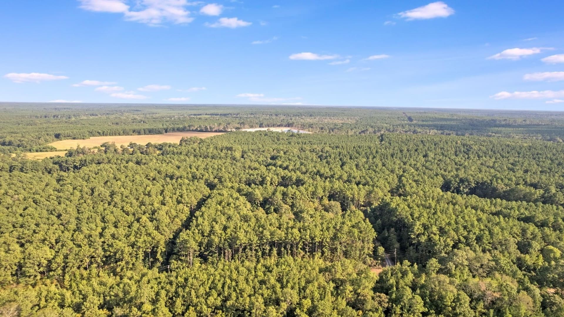 2 acres in Texas County - photo 8