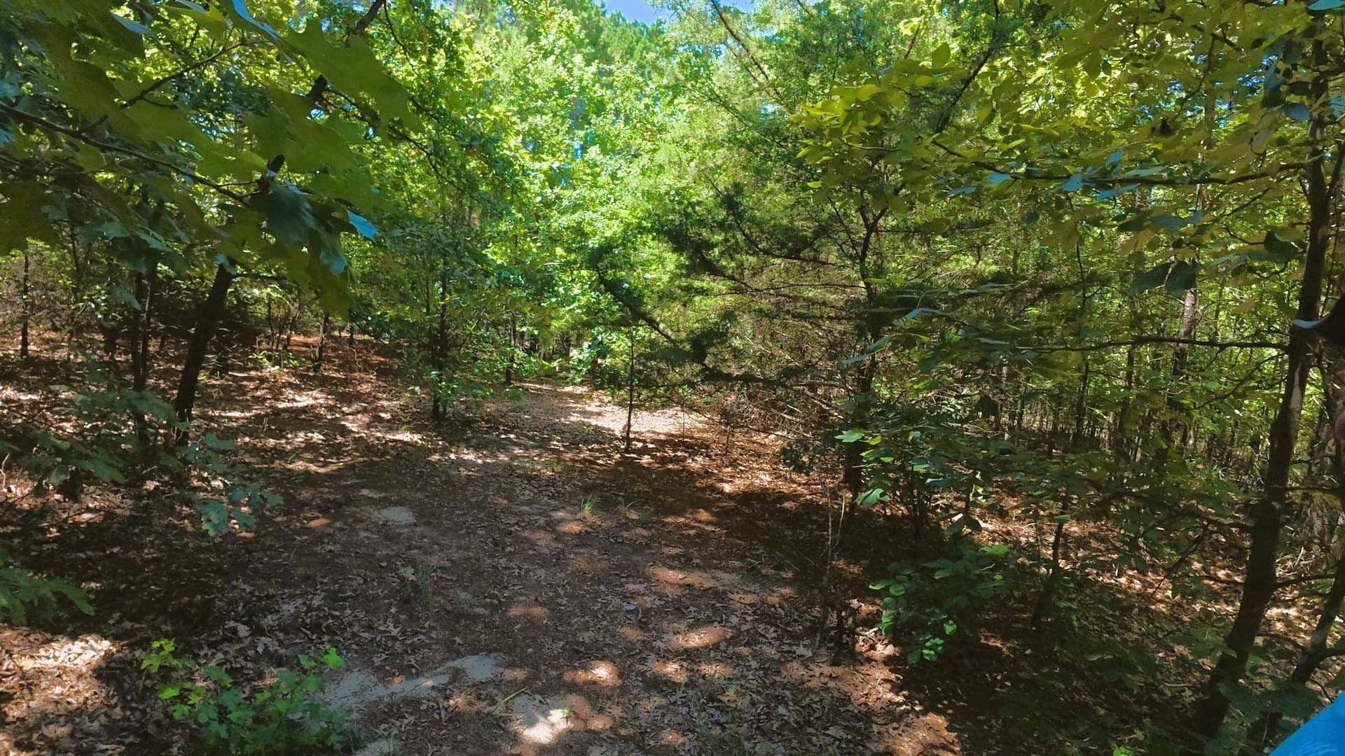 38.47 acres in Camp County featured view