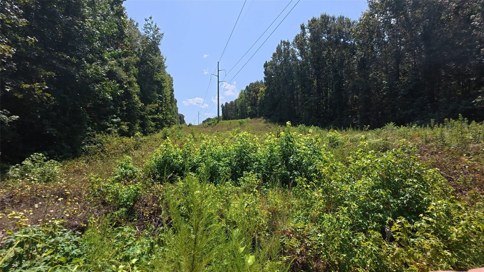 38.47 acres in Camp County - photo 22
