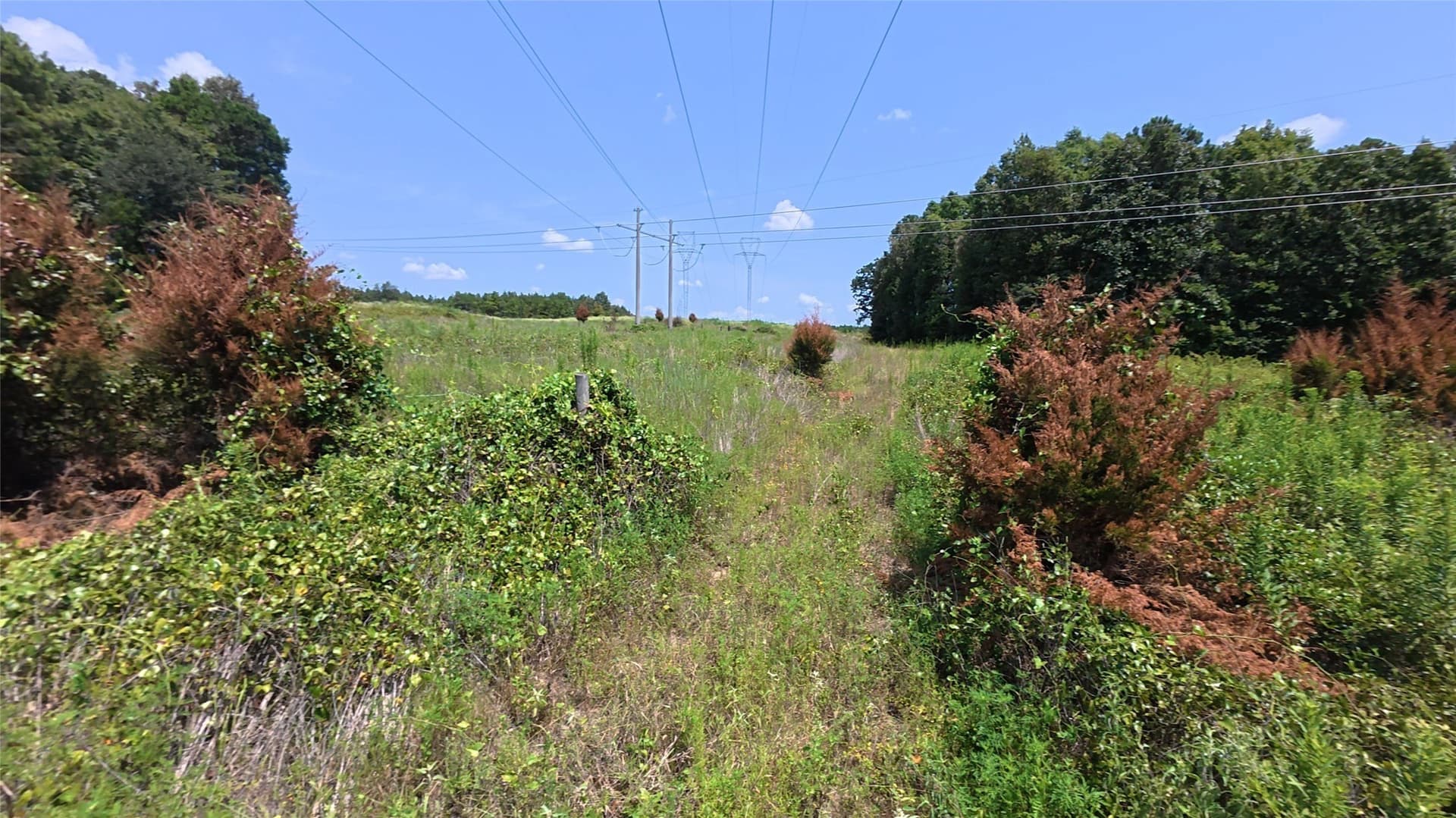 38.47 acres in Camp County - photo 25