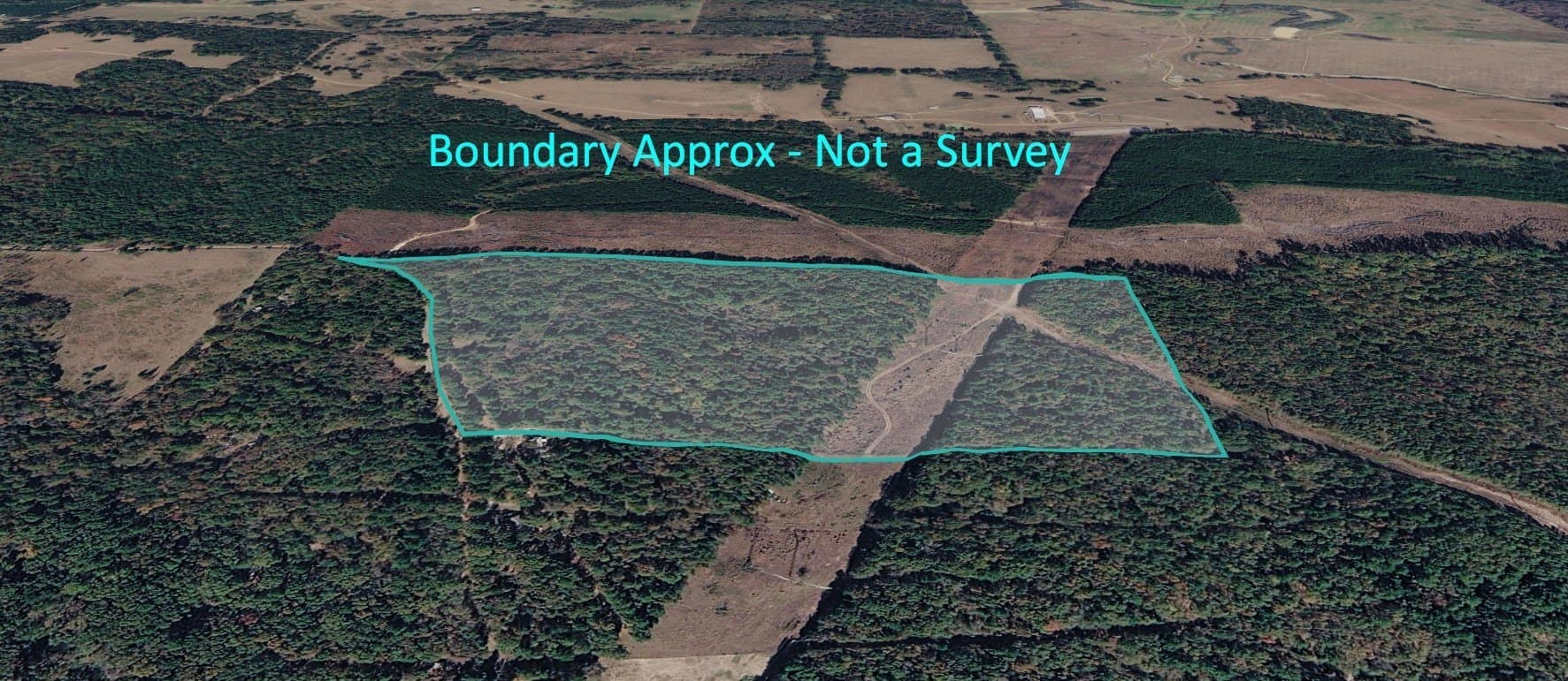 38.47 acres in Camp County - photo 15