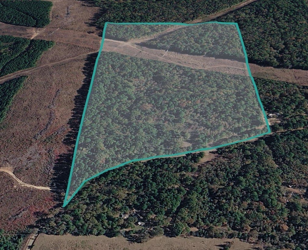 38.47 acres in Camp County gallery image 3